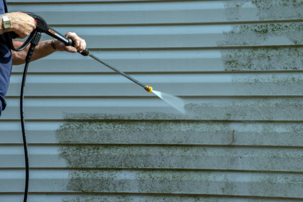 Best Roof Pressure Washing  in Holland, MI