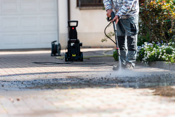 Best Roof Pressure Washing  in Holland, MI
